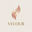 Velour Store Icon
